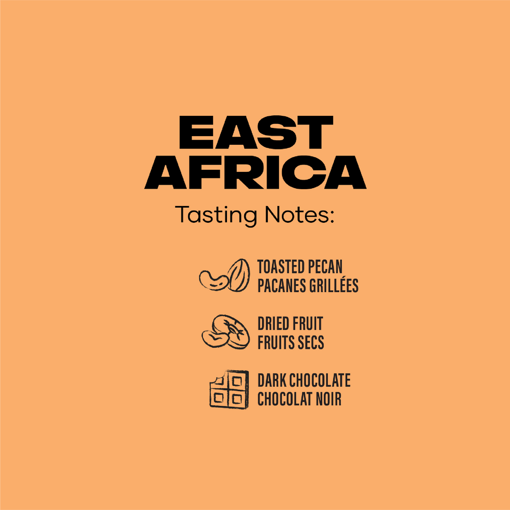 
                  
                    EAST AFRICA
                  
                
