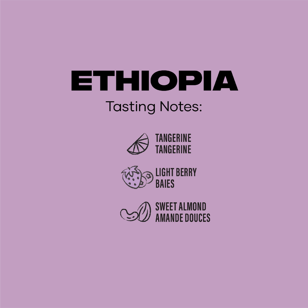 
                  
                    ETHIOPIA
                  
                